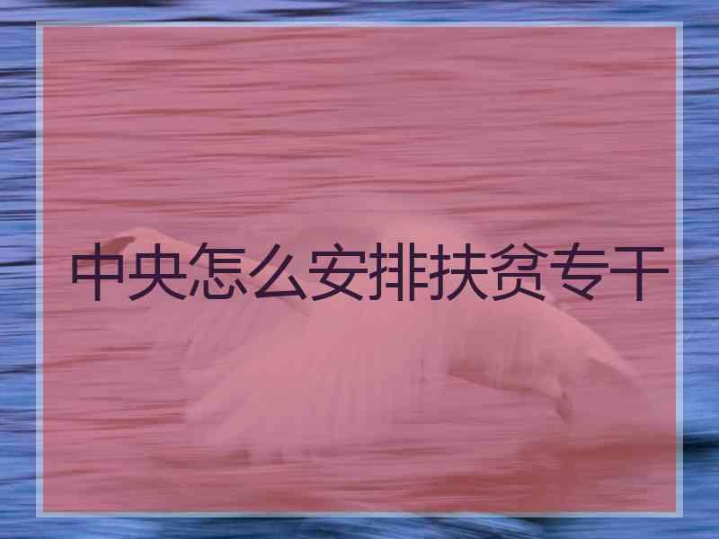 中央怎么安排扶贫专干