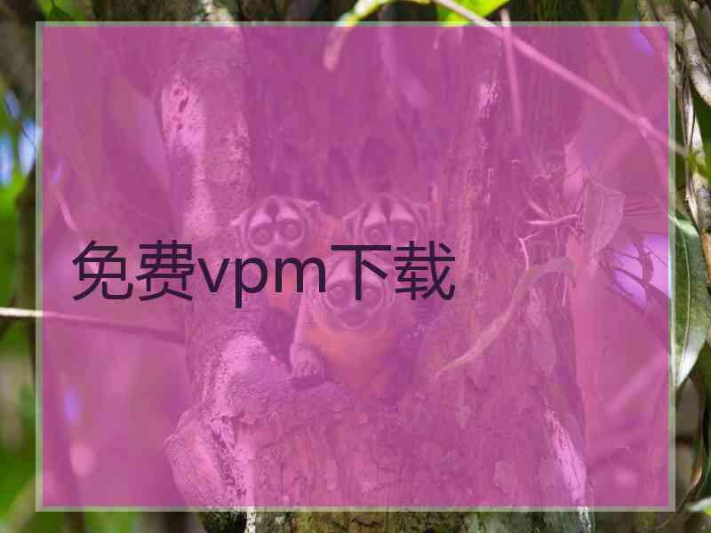 免费vpm下载