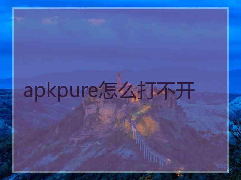 apkpure怎么打不开