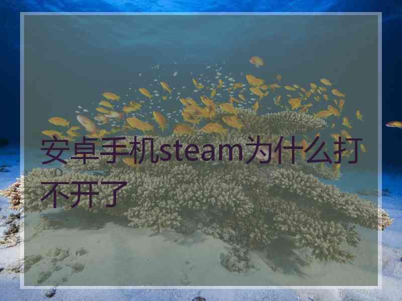 安卓手机steam为什么打不开了