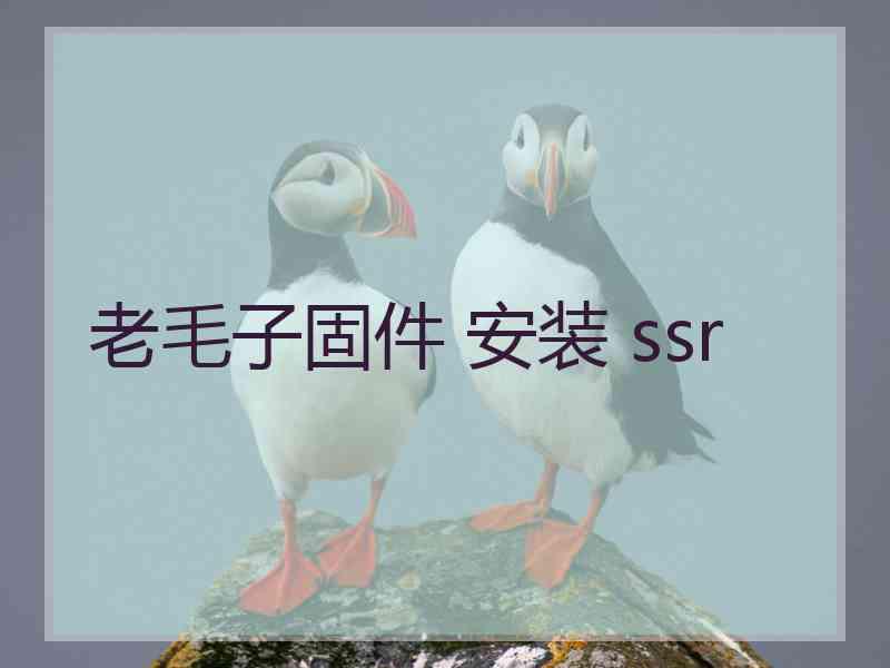 老毛子固件 安装 ssr