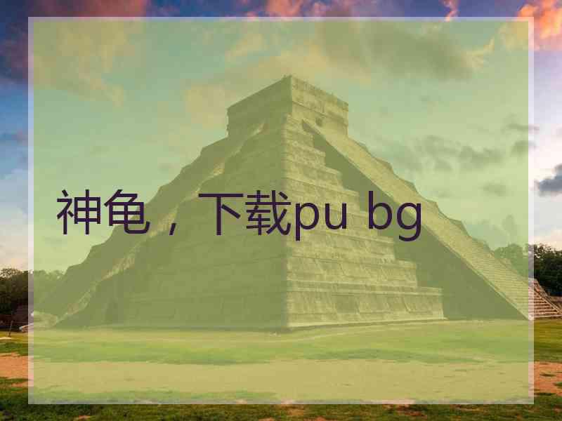 神龟，下载pu bg