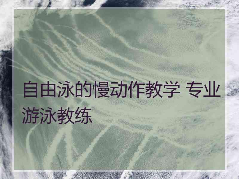 自由泳的慢动作教学 专业游泳教练