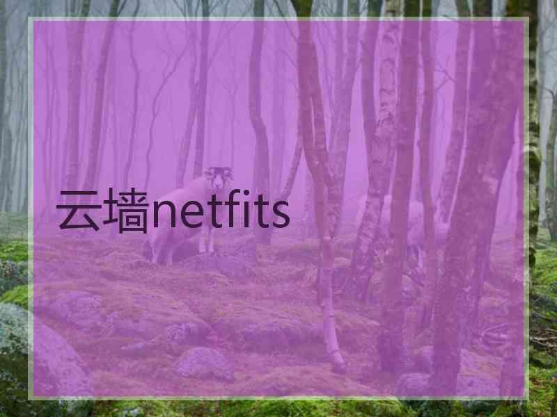 云墙netfits