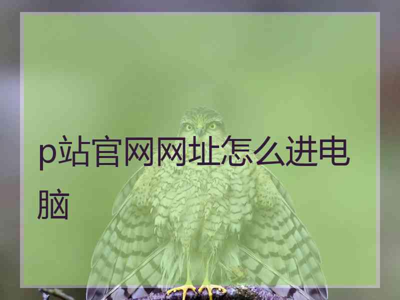 p站官网网址怎么进电脑