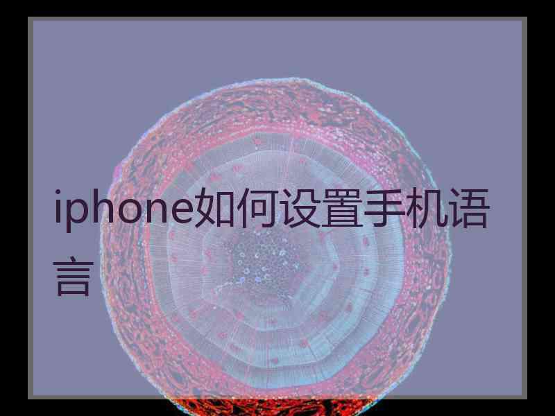 iphone如何设置手机语言