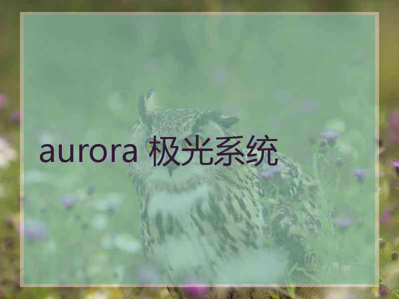 aurora 极光系统