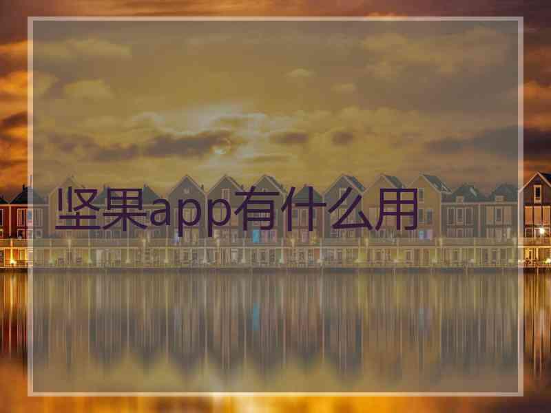 坚果app有什么用