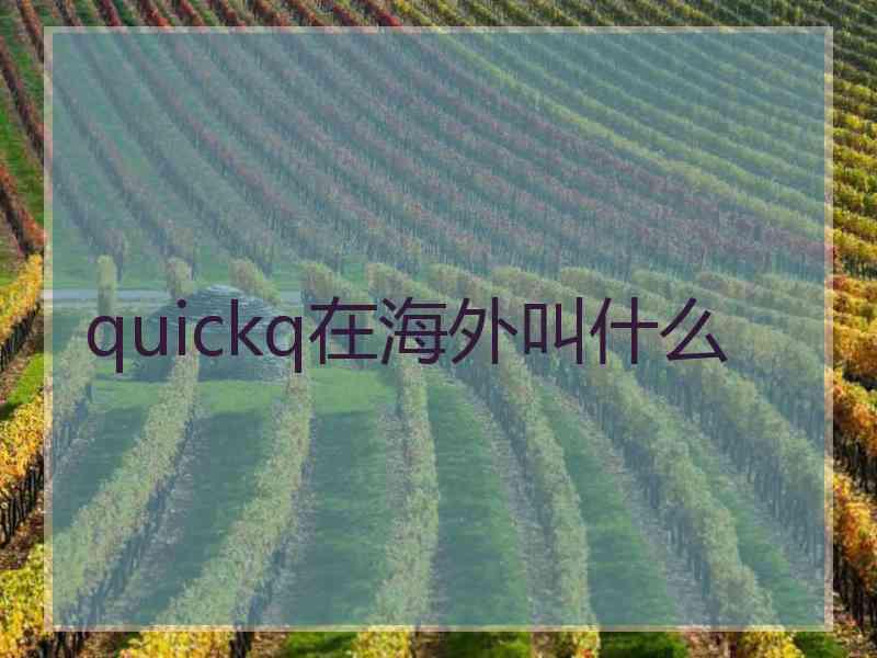 quickq在海外叫什么