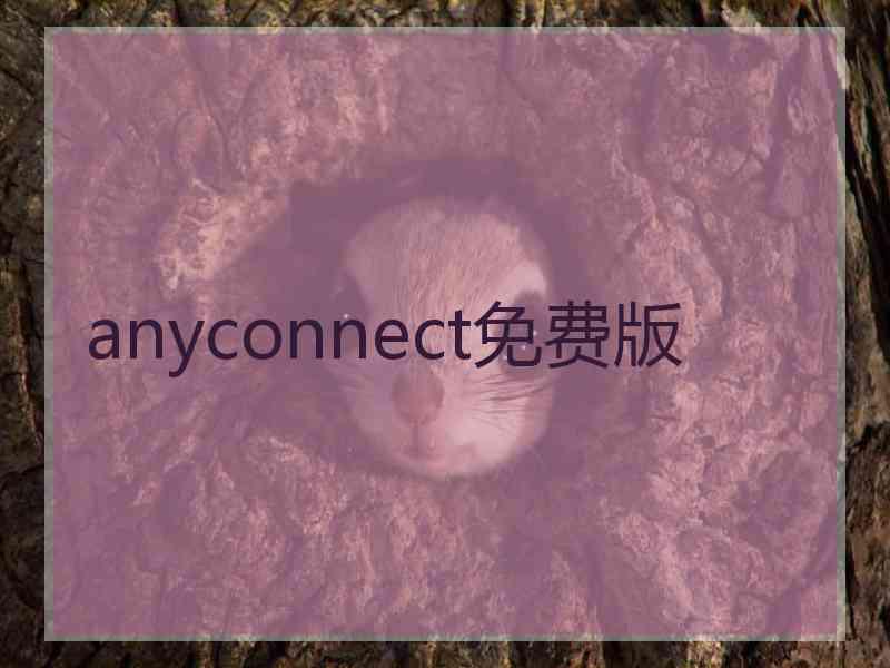 anyconnect免费版