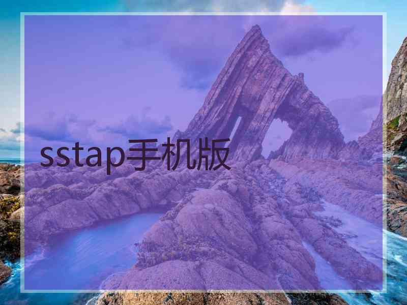 sstap手机版