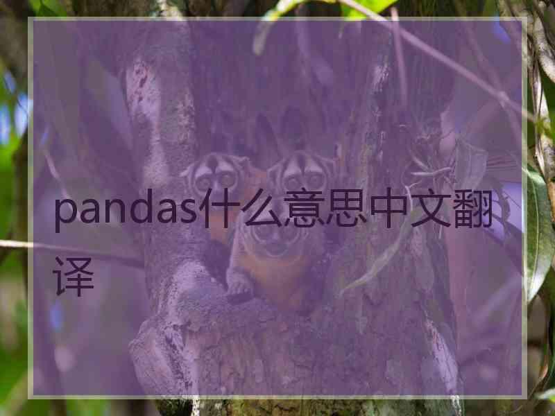 pandas什么意思中文翻译