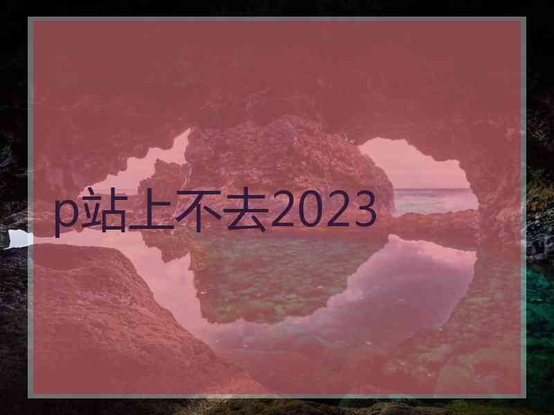 p站上不去2023