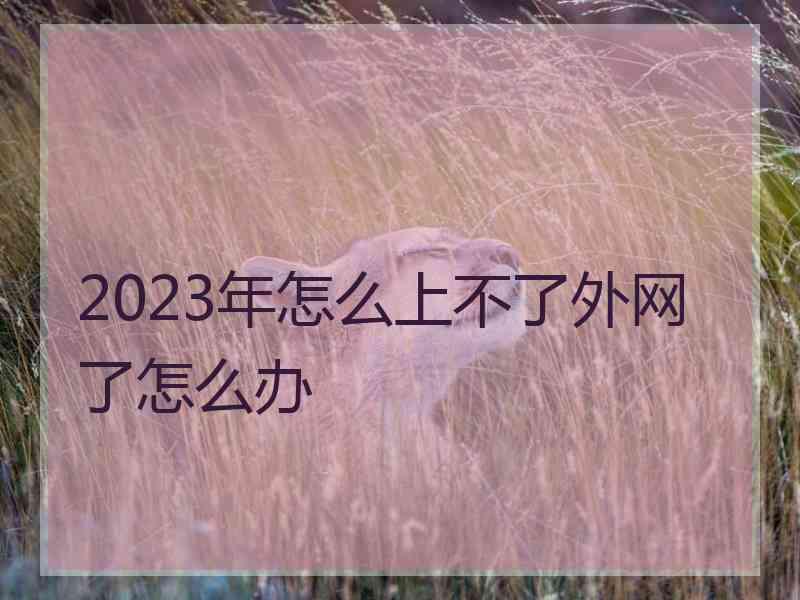 2023年怎么上不了外网了怎么办