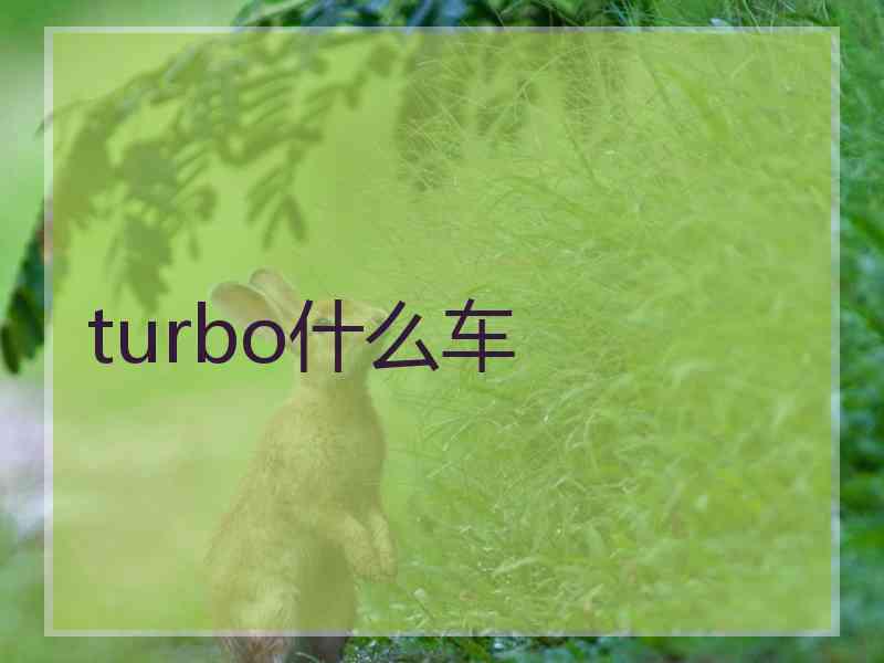 turbo什么车