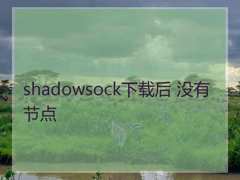 shadowsock下载后 没有节点