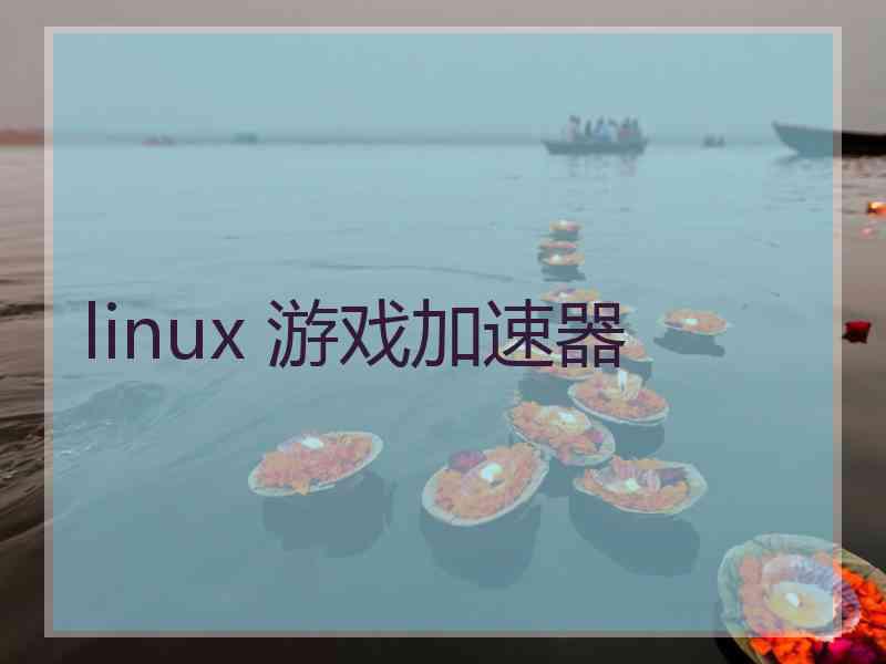 linux 游戏加速器