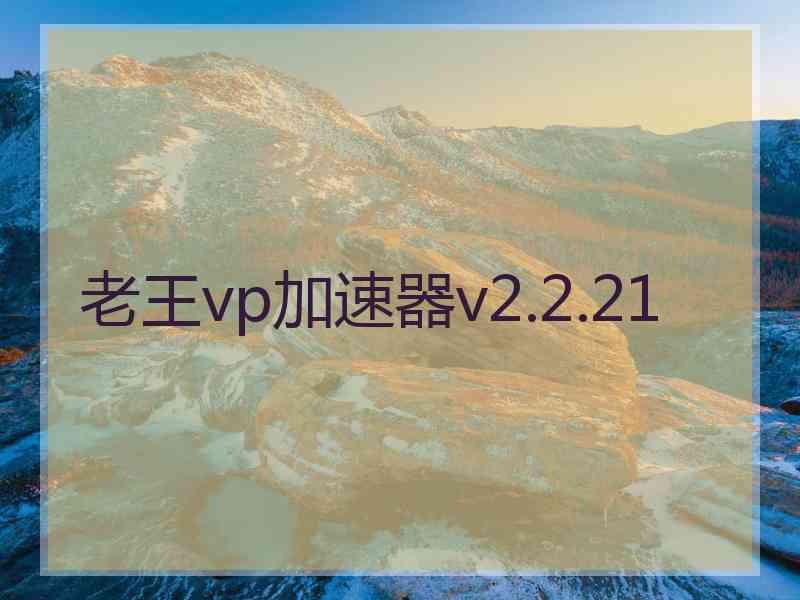 老王vp加速器v2.2.21