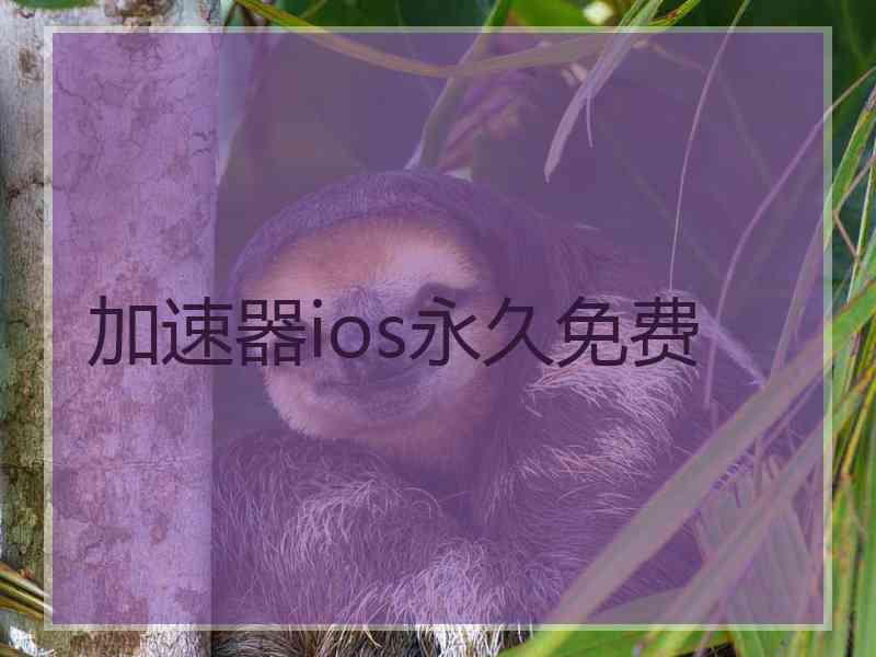 加速器ios永久免费