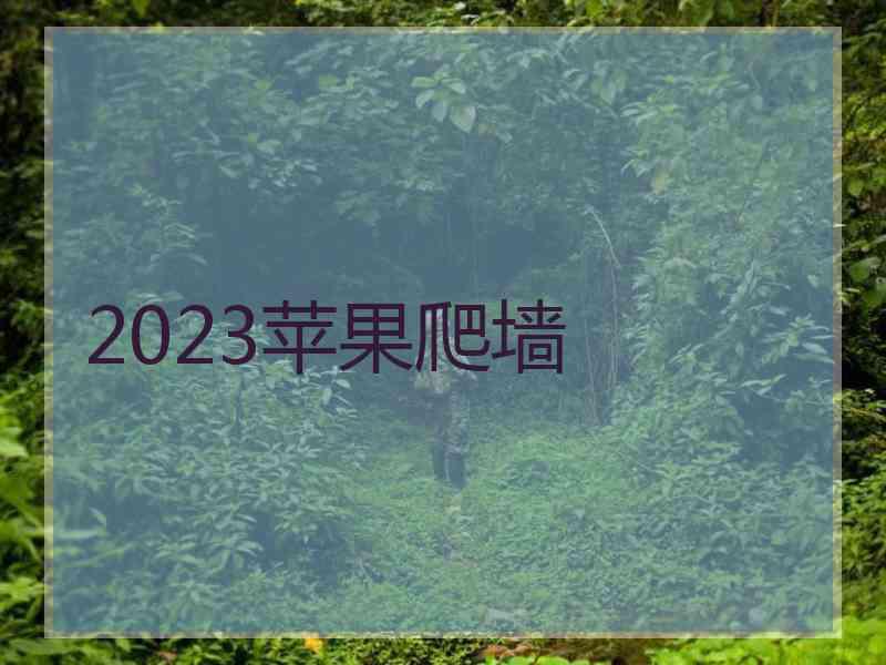 2023苹果爬墙