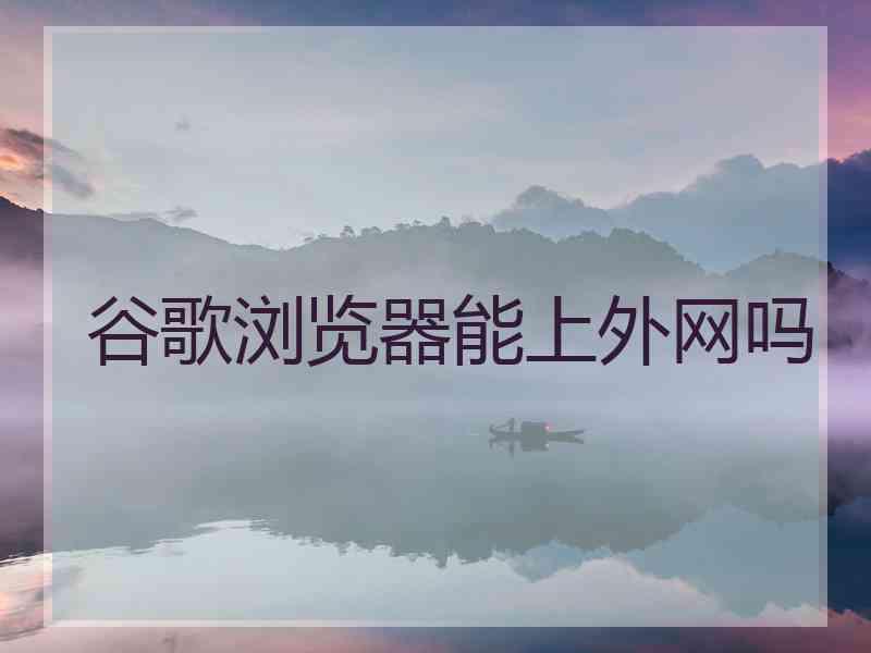 谷歌浏览器能上外网吗