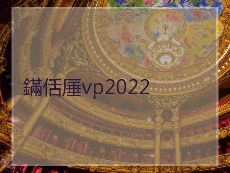 鏋佸厜vp2022