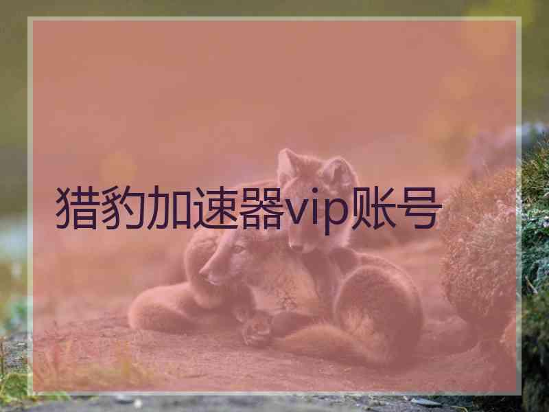 猎豹加速器vip账号