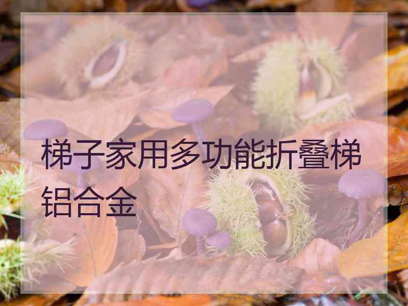 梯子家用多功能折叠梯铝合金