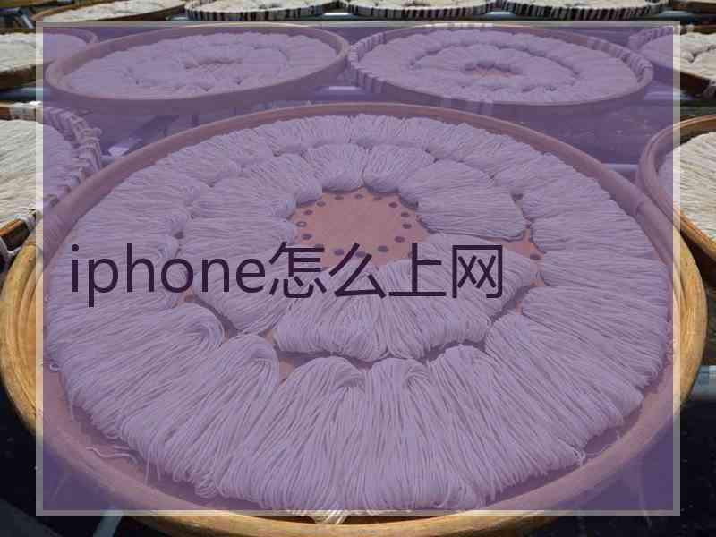 iphone怎么上网