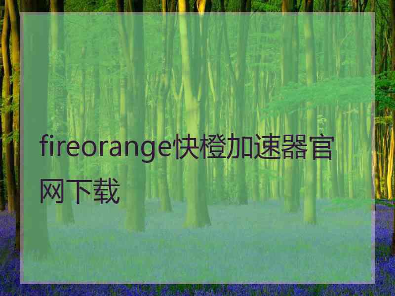 fireorange快橙加速器官网下载
