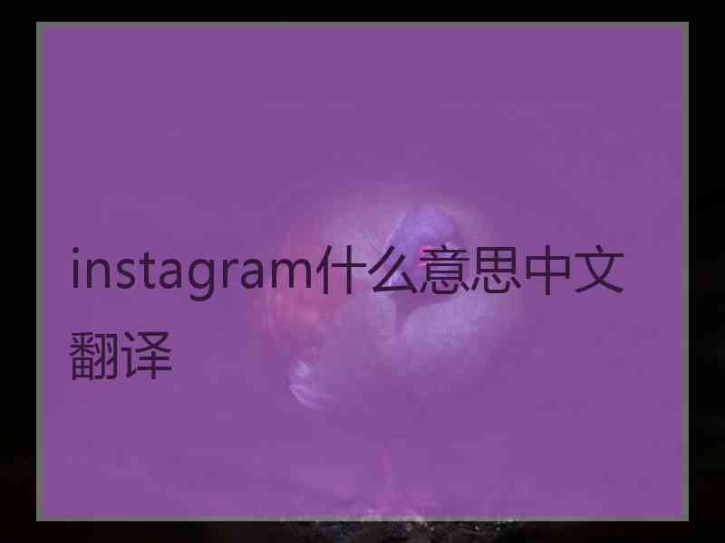 instagram什么意思中文翻译