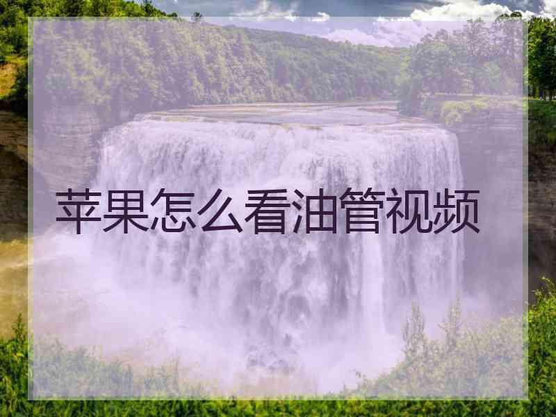 苹果怎么看油管视频