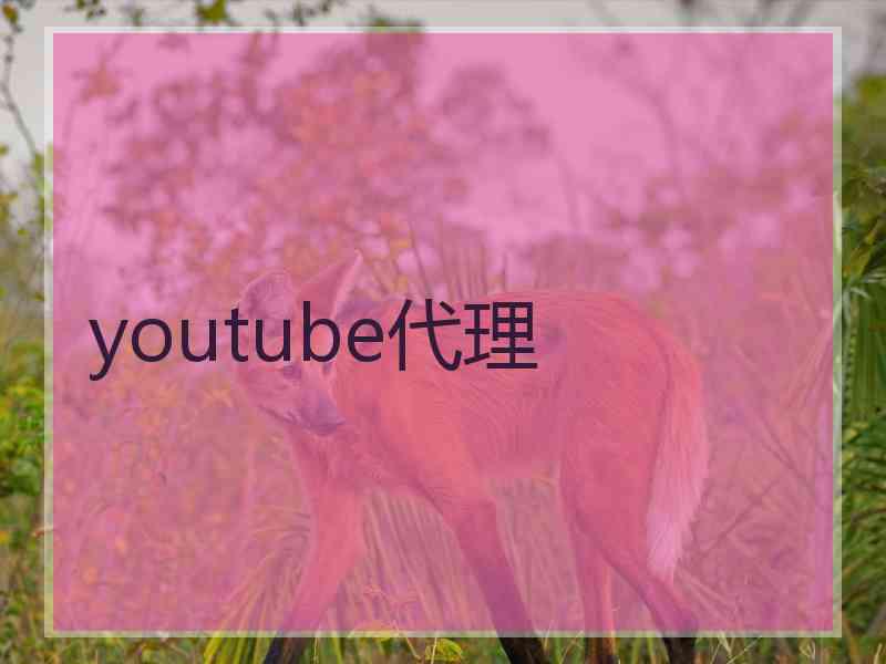 youtube代理