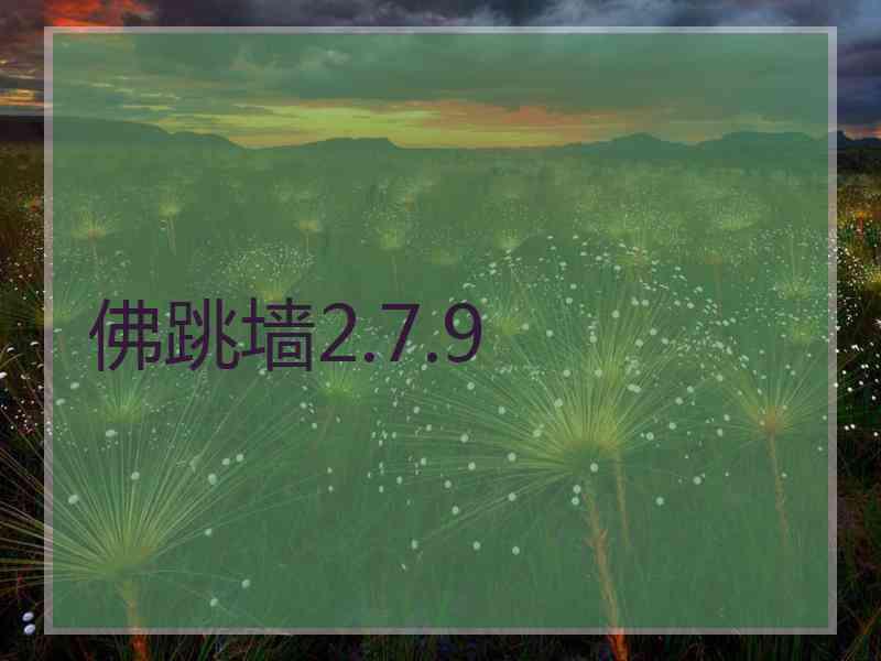 佛跳墙2.7.9